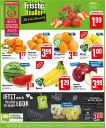 Gazetka promocyjna Edeka - Prospekte - Gazetka - ważna od 20.01 do 20.01.2024 - strona 4 - produkty: Abtei, ananas, Ananasstücke, beere, beeren, bio, eis, erdbeere, erdbeeren, fleisch, honig, mandarine, mandarinen, mango, melone, obst, orange, orangen, salat, Schal, Schale, tafeläpfel, Ti, trauben, wasser, zitrone, zitronen