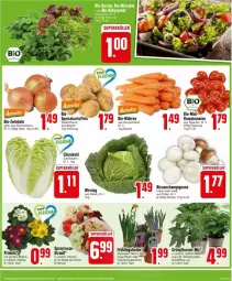 Gazetka promocyjna Edeka - Prospekte - Gazetka - ważna od 20.01 do 20.01.2024 - strona 5 - produkty: beutel, bio, Blüte, braun, champignon, champignons, champignons braun, eis, Grünpflanzen, kartoffel, kartoffeln, möhren, pflanze, pflanzen, Romatomaten, rosen, Schal, Schale, speisekartoffeln, Ti, tomate, tomaten, topf, trauben, Wirsing, zwiebel, zwiebeln