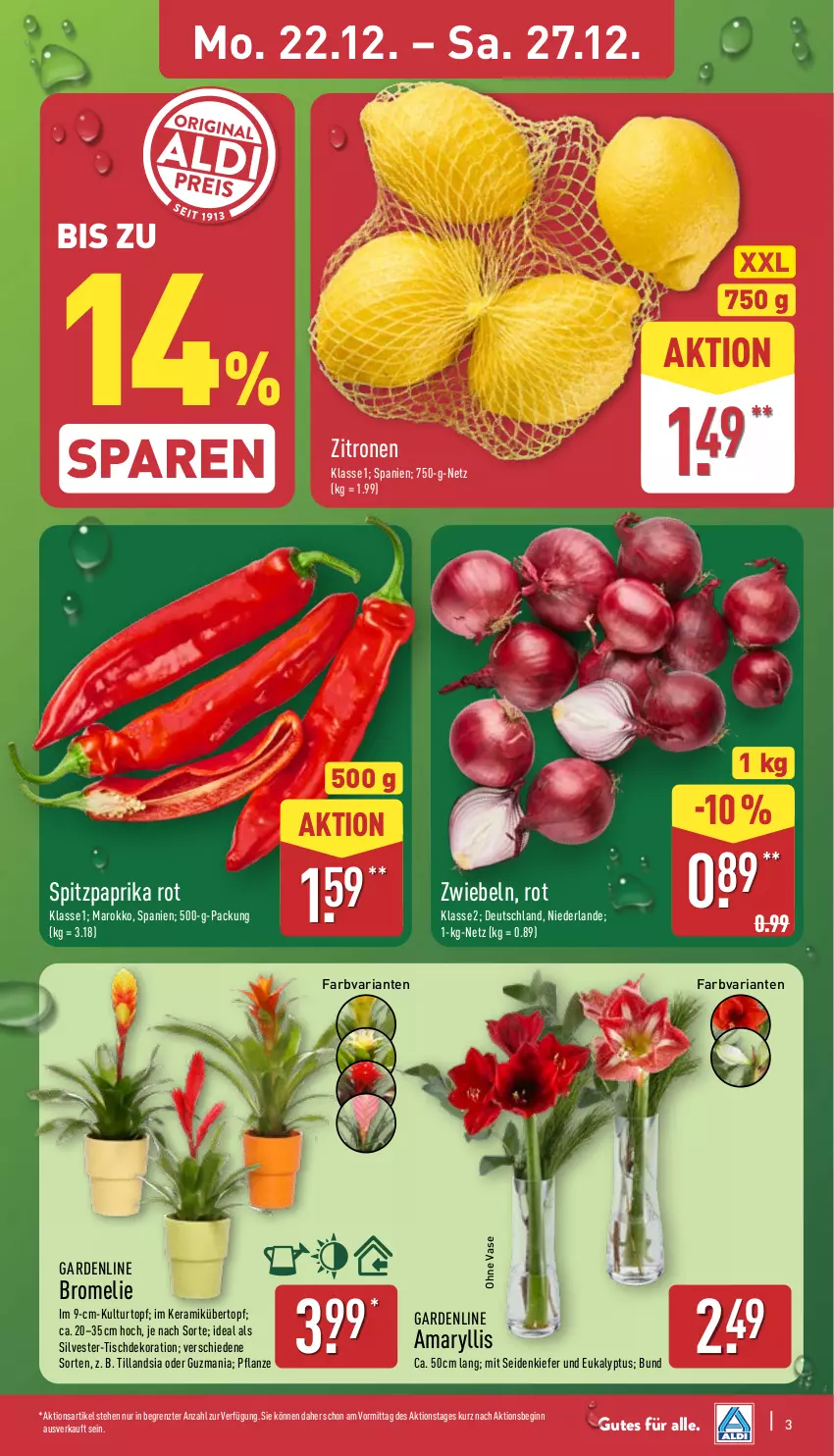 Aktueller Prospekt Aldi Nord - Von Montag - von 22.12 bis 27.12.2025 - strona 4 - produkty: Blüte, Brei, Bromelie, dekoration, gin, kulturtopf, paprika, paprika rot, pflanze, Ria, Spitzpaprika, Ti, tisch, topf, übertopf, Vase, zitrone, zitronen, ZTE, zwiebel, zwiebeln