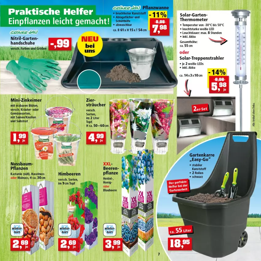 Aktueller Prospekt Thomas Philipps - Prospektwerbung - von 28.02 bis 05.03.2022 - strona 7 - produkty: akku, auer, Bau, beere, beeren, Blaubeer, blaubeere, Blüte, eimer, ente, Garten, handschuhe, haselnuss, himbeer, himbeere, himbeeren, honig, kräuter, leds, mac, nuss, pflanze, pflanzen, schuhe, Ti, topf, walnuss, Wanne