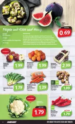 Gazetka promocyjna Markant - Prospekte - Gazetka - ważna od 02.09 do 02.09.2023 - strona 4 - produkty: bio, champignon, champignons, creme, eis, gutes essen, korb, mandarine, mandarinen, möhren, paprika, Schal, Schale, speisemöhren, Spitzpaprika, Ti