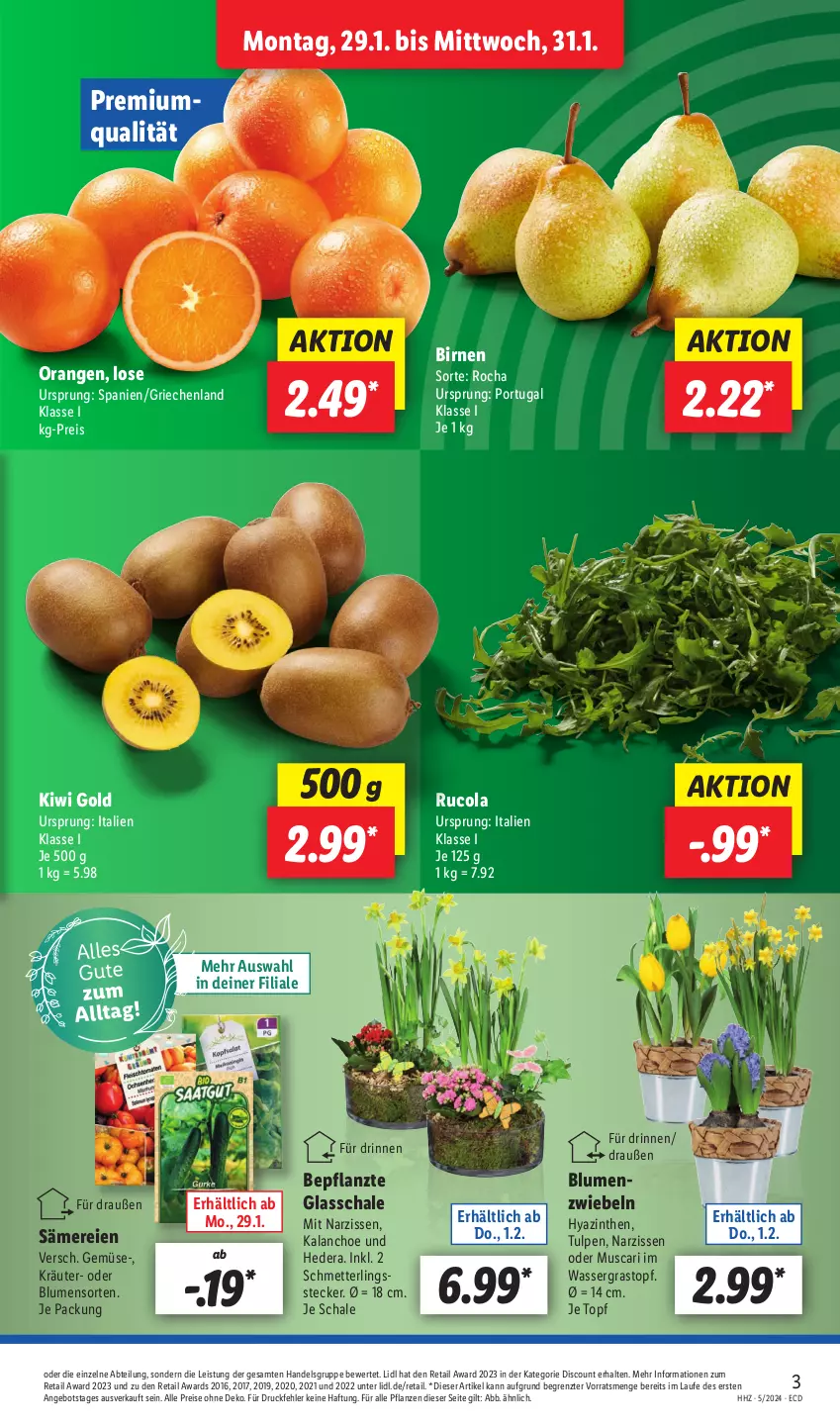 Aktueller Prospekt Lidl - Aktionsprospekt - von 29.01 bis 03.02.2024 - strona 3 - produkty: Abtei, angebot, Birnen, blume, blumen, cola, discount, eis, Kalanchoe, kiwi, Kiwi Gold, kräuter, Mett, Narzissen, orange, orangen, pflanze, pflanzen, reis, rucola, Schal, Schale, Schmetterling, Ti, topf, wasser, ZTE, zwiebel, zwiebeln