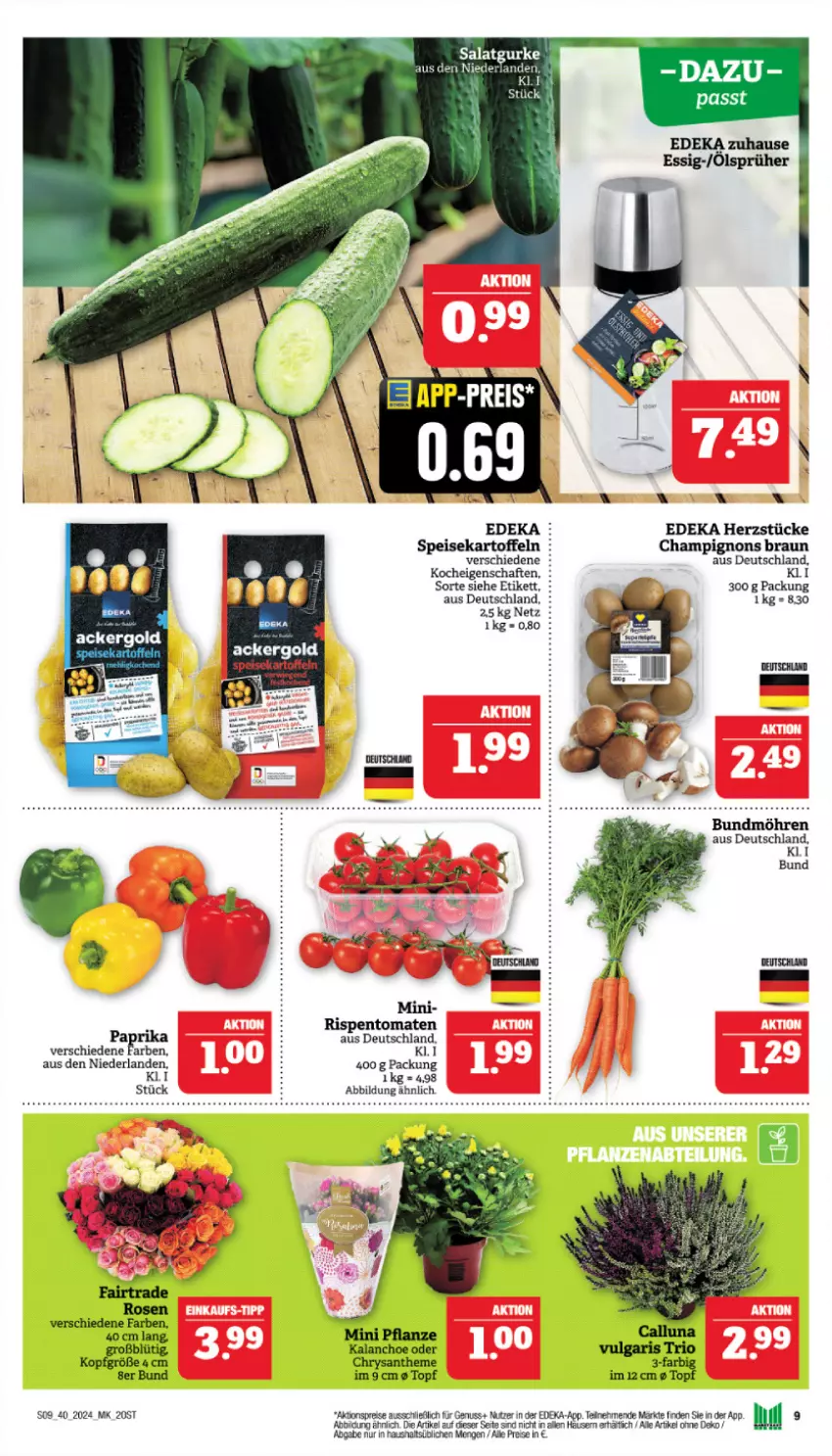 Aktueller Prospekt Marktkauf - Prospekt - von 29.09 bis 05.10.2024 - strona 9 - produkty: ackergold, aktionspreis, braun, Bundmöhren, champignon, champignons, champignons braun, deka, eis, elle, gurke, kartoffel, kartoffeln, möhren, nuss, paprika, reis, rispentomaten, salat, Salatgurke, speisekartoffeln, Ti, tomate, tomaten