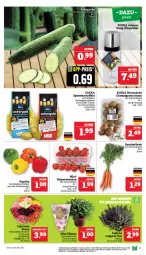 Gazetka promocyjna Marktkauf - Prospekt - Gazetka - ważna od 05.10 do 05.10.2024 - strona 9 - produkty: ackergold, aktionspreis, braun, Bundmöhren, champignon, champignons, champignons braun, deka, eis, elle, gurke, kartoffel, kartoffeln, möhren, nuss, paprika, reis, rispentomaten, salat, Salatgurke, speisekartoffeln, Ti, tomate, tomaten