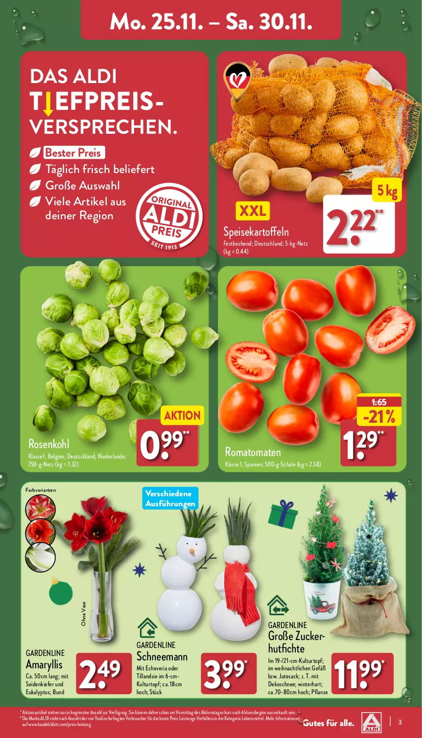 Aktueller Prospekt Aldi Nord - Von Montag - von 25.11 bis 30.11.2024 - strona 3 - produkty: aldi, Blüte, Brei, eis, gin, kartoffel, kartoffeln, kulturtopf, lebensmittel, LG, pflanze, Rauch, reis, Ria, Romatomaten, rosen, Rosenkohl, sac, Schal, Schale, speisekartoffeln, tesa, Ti, tomate, tomaten, topf, Vase, Yo, ZTE, zucker