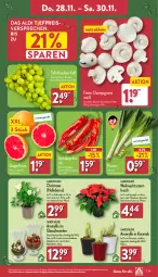 Gazetka promocyjna Aldi Nord - Von Montag - Gazetka - ważna od 30.11 do 30.11.2024 - strona 29 - produkty: aldi, Blüte, Brei, champignon, champignons, eis, elle, ente, gin, grapefruit, kulturtopf, LG, paprika, paprika rot, pflanze, reis, Schal, Schale, tafeltrauben, tee, Ti, topf, trauben, Weihnachtsstern, ZTE, zwiebel