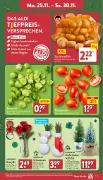 Gazetka promocyjna Aldi Nord - Von Montag - Gazetka - ważna od 30.11 do 30.11.2024 - strona 3 - produkty: aldi, Blüte, Brei, eis, gin, kartoffel, kartoffeln, kulturtopf, lebensmittel, LG, pflanze, Rauch, reis, Ria, Romatomaten, rosen, Rosenkohl, sac, Schal, Schale, speisekartoffeln, tesa, Ti, tomate, tomaten, topf, Vase, Yo, ZTE, zucker