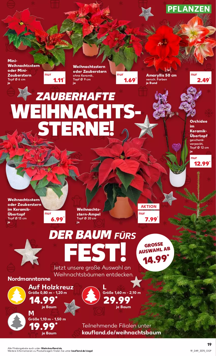 Aktueller Prospekt Kaufland - von 08.12 bis 14.12.2022 - strona 19 - produkty: angebot, angebote, Bau, decke, Holz, orchidee, pflanze, pflanzen, Ti, topf, topf ø 12 cm, übertopf, Weihnachtsbaum, Weihnachtsstern