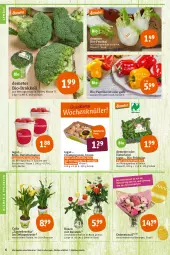 Gazetka promocyjna Tegut - Angebote der Woche - Gazetka - ważna od 16.04 do 16.04.2022 - strona 8 - produkty: angebot, angebote, Bau, Becher, bio, Bio-Paprika, blume, blumen, braun, brokkoli, champignon, champignons, chia, datteltomaten, dekoration, eis, feldsalat, fenchel, natur, naturland, paprika, paprika rot, pflanze, pflanzen, pril, reis, ring, rosen, salat, Schal, Schale, Ti, tomate, tomaten