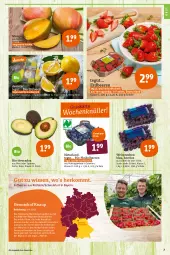 Gazetka promocyjna Tegut - Angebote der Woche - Gazetka - ważna od 16.04 do 16.04.2022 - strona 9 - produkty: angebot, angebote, avocado, avocados, Bau, beere, beeren, bio, bio-zitronen, dekoration, eis, erdbeere, erdbeeren, erde, frucht, früchte, heidelbeere, heidelbeeren, mango, natur, naturland, nuss, obst, reifen, reis, Schal, Schale, schwein, Ti, tisch, trauben, wein, zitrone, zitronen