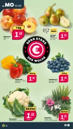 Gazetka promocyjna Netto - Woche 38 - Gazetka - ważna od 24.09 do 24.09.2022 - strona 2 - produkty: beere, beeren, Birnen, blume, blumen, blumenkohl, heidelbeere, heidelbeeren, Nektar, nektarinen, paprika, paprika mix, Ti, topf