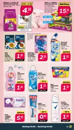 Gazetka promocyjna Netto - Woche 38 - Gazetka - ważna od 24.09 do 24.09.2022 - strona 9 - produkty: beutel, bio, Cap, Cillit, cillit bang, creme, deo, deospray, felix, hakle, katzennahrung, Nassnahrung, papier, Perfect Fit, portionsbeutel, pril, Rauch, reiniger, rexona, roll-on, rwe, sheba, Signal, spee, spülmittel, Ti, toilettenpapier, Trockennahrung, vernel, waschmittel, wc frisch, weichspüler, whiskas, zahncreme