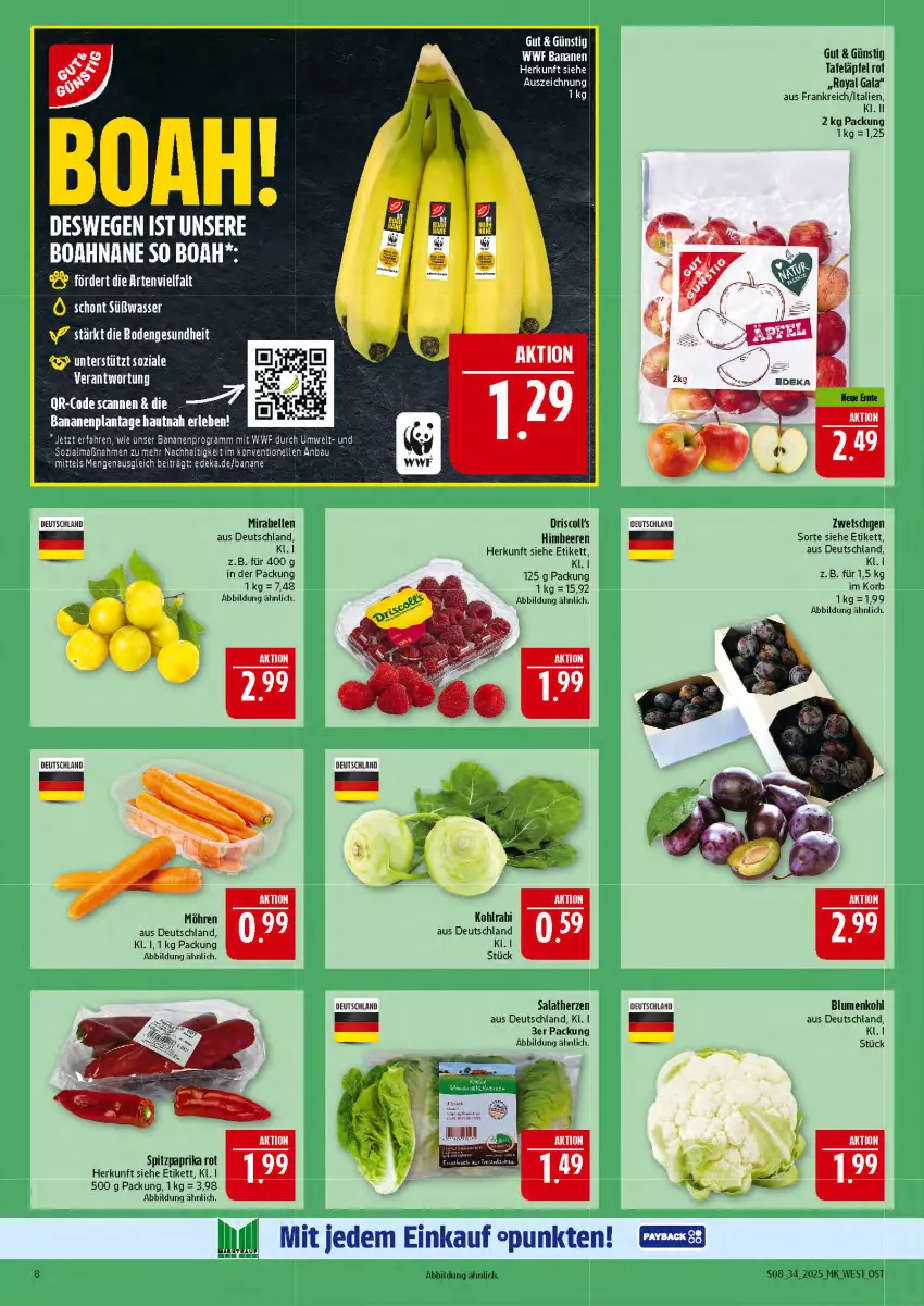 Aktueller Prospekt Marktkauf - Prospekt - von 17.08 bis 23.08.2025 - strona 8 - produkty: banane, bananen, Bau, beere, beeren, blume, blumen, blumenkohl, deka, elle, Heu, himbeer, himbeere, himbeeren, kohlrabi, korb, möhren, paprika, paprika rot, salat, salatherzen, Spitzpaprika, tafeläpfel, Ti, wasser
