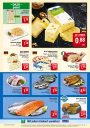 Gazetka promocyjna Marktkauf - Prospekt - Gazetka - ważna od 23.08 do 23.08.2025 - strona 15 - produkty: bismarck, brot, camembert, champignon, deutscher weichkäse, eis, elle, filet, fisch, forelle, frischfisch, goldsteig, grill, hartkäse, ideal zum grillen, Käse, lachs, lachsfilet, LG, mac, matjes, Matjesfilet, natur, nuss, Rauch, reis, rel, rouge, rougette, Ti, tisch, torte, weichkäse, ZTE
