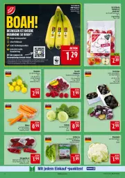Gazetka promocyjna Marktkauf - Prospekt - Gazetka - ważna od 23.08 do 23.08.2025 - strona 8 - produkty: banane, bananen, Bau, beere, beeren, blume, blumen, blumenkohl, deka, elle, Heu, himbeer, himbeere, himbeeren, kohlrabi, korb, möhren, paprika, paprika rot, salat, salatherzen, Spitzpaprika, tafeläpfel, Ti, wasser