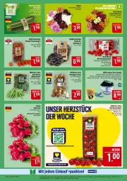 Gazetka promocyjna Marktkauf - Prospekt - Gazetka - ważna od 23.08 do 23.08.2025 - strona 9 - produkty: bohne, bohnen, braun, champignon, champignons, champignons braun, dahlie, deka, discount, edelstahl, eis, grüne bohnen, kopfsalat, kräuter, leine, LG, pflaume, pflaumen, radieschen, reis, ring, rispentomaten, rosen, salat, sauce, saucen, Ti, tomate, tomaten, und gemüse, ZTE, zwiebel, zwiebeln