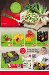 Gazetka promocyjna Selgros - Food - Gazetka - ważna od 16.04 do 16.04.2025 - strona 8 - produkty: eis, Lauchzwiebel, lauchzwiebeln, reifen, reis, ring, salat, salate, sauce, saucen, schnitten, schnittlauch, Ti, würfel, zwiebel, zwiebeln