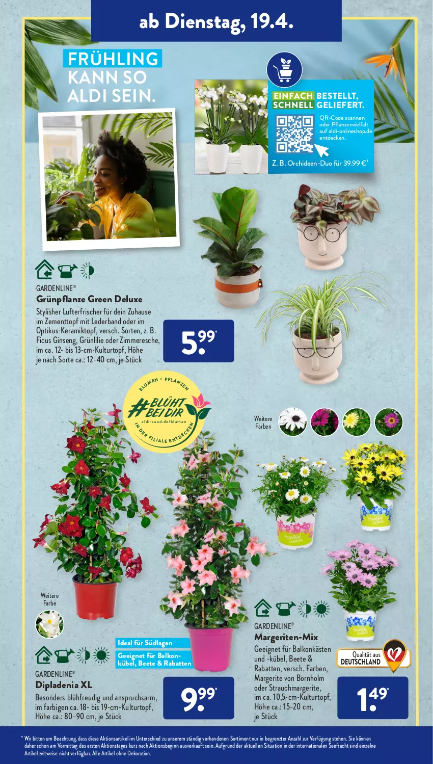 Aktueller Prospekt AldiSud - ALDI Aktuell - von 19.04 bis 23.04.2022 - strona 9 - produkty: aldi, alle artikel ohne dekoration, decke, dekoration, dip, dipladenia, eis, elle, Ficus, gardenline®, gin, kulturtopf, lufterfrischer, orchidee, orchideen, pflanze, pflanzen, Rauch, Ti, topf, Zement, ZTE