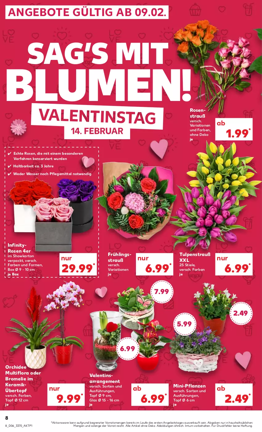 Aktueller Prospekt Kaufland - von 09.02 bis 15.02.2023 - strona 8 - produkty: angebot, angebote, blume, blumen, Bromelie, orchidee, pflanze, pflanzen, Ria, rosen, Rosenstrauß, Ti, topf, topf ø 12 cm, übertopf, wasser, ZTE