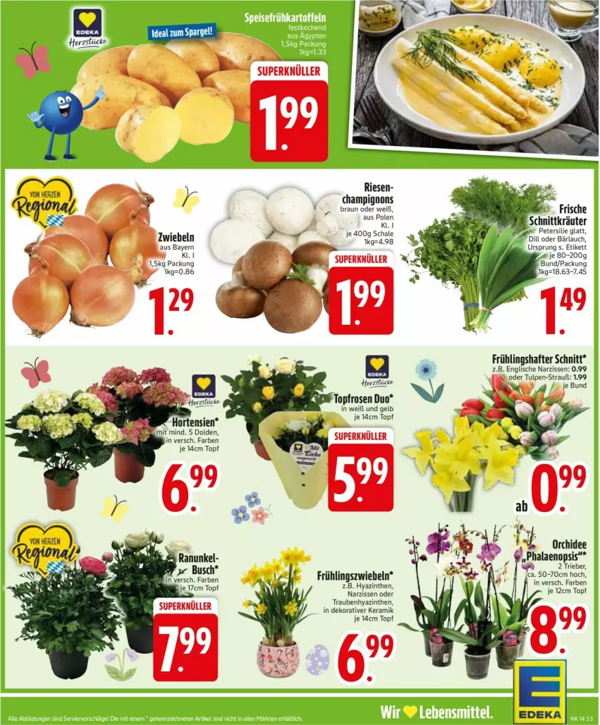 Aktueller Prospekt Edeka - Prospekte - von 30.03 bis 04.04.2026 - strona 5 - produkty: braun, champignon, champignons, champignons braun, Narzissen, petersilie, phalaenopsis, rosen, Ti, topf, trauben, zwiebel, zwiebeln