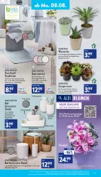 Gazetka promocyjna Aldi Nord - Aldi-Aktuell - Gazetka - ważna od 13.08 do 13.08.2022 - strona 13 - produkty: ACC, accessoires, aldi, Bad, badematte, Bau, baumwolle, Becher, Behälter, bett, blume, blumen, Brei, bürste, bürsten, dell, duschtuch, eimer, eis, elle, erde, garnitur, handtücher, hero, kulturtopf, leimer, LG, Mode, pflanze, reine baumwolle, reis, Ria, rwe, Seife, seifenspender, Sempervivum, Ti, topf, tuc, tücher, uhr, wolle