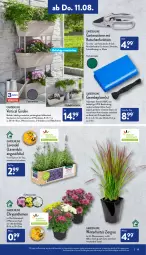 Gazetka promocyjna Aldi Nord - Aldi-Aktuell - Gazetka - ważna od 13.08 do 13.08.2022 - strona 19 - produkty: Bau, Blüte, Brei, chrysanthemen, Container, eis, Garten, Gartenschere, Gewebeplane, gin, Laufen, lavendel, pflanze, pflanzen, Ria, rwe, Schere, Ti, topf, wasser, werkzeug, ZTE