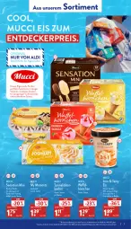 Gazetka promocyjna Aldi Nord - Aldi-Aktuell - Gazetka - ważna od 13.08 do 13.08.2022 - strona 7 - produkty: Becher, bourbon, decke, eis, ente, frucht, gsw, hörnchen, Kette, nuss, reis, Ria, schoko, schokolade, Sensation Mini, Spezi, Strudel, Ti, vanille