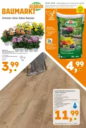 Gazetka promocyjna  - Gazetka - ważna od 17.08 do 17.08.2024 - strona 1 - produkty: aqua, beutel, Blüte, chrysanthemen, Clin, eis, erde, Garten, laminat, laminatboden, pflanze, pflanzen, reis, sac, Ti, wasser