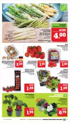 Gazetka promocyjna Marktkauf - Prospekt - Gazetka - ważna od 04.05 do 04.05.2024 - strona 13 - produkty: ball, braun, champignon, champignons, champignons braun, deka, eis, LG, pflaume, pflaumen, reis, rispentomaten, salat, Schal, Schale, spargel, spargel grün, Ti, tomate, tomaten, ZTE
