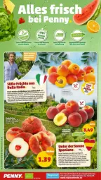 Gazetka promocyjna Penny - Prospekte - Gazetka - ważna od 11.06 do 11.06.2022 - strona 2 - produkty: auer, Bau, Bauer, brie, fisch, fische, früchte, Garten, mac, Nektar, nektarinen, obst, pfirsich, pfirsiche, rel, Ti, tisch