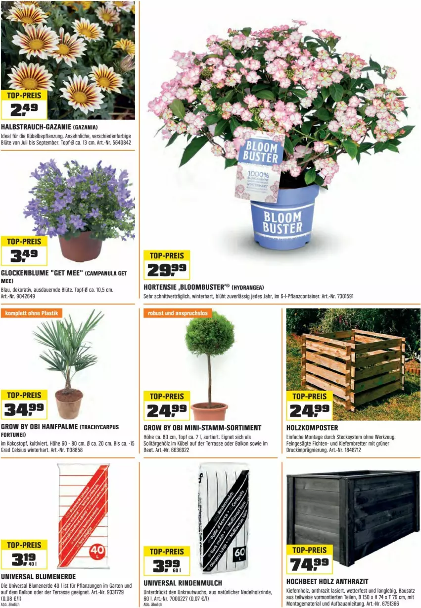 Aktueller Prospekt Obi - Prospekte - von 04.06 bis 30.06.2023 - strona 11 - produkty: auer, Bau, blume, blumen, blumenerde, Blüte, Campanula, Container, eis, erde, Garten, Holz, hortensie, hydrangea, kokos, Komposter, Kraut, Rauch, reis, Ria, rind, rindenmulch, Ti, top-preis, topf, werkzeug