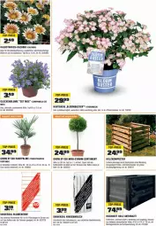 Gazetka promocyjna Obi - Prospekte - Gazetka - ważna od 30.06 do 30.06.2023 - strona 11 - produkty: auer, Bau, blume, blumen, blumenerde, Blüte, Campanula, Container, eis, erde, Garten, Holz, hortensie, hydrangea, kokos, Komposter, Kraut, Rauch, reis, Ria, rind, rindenmulch, Ti, top-preis, topf, werkzeug