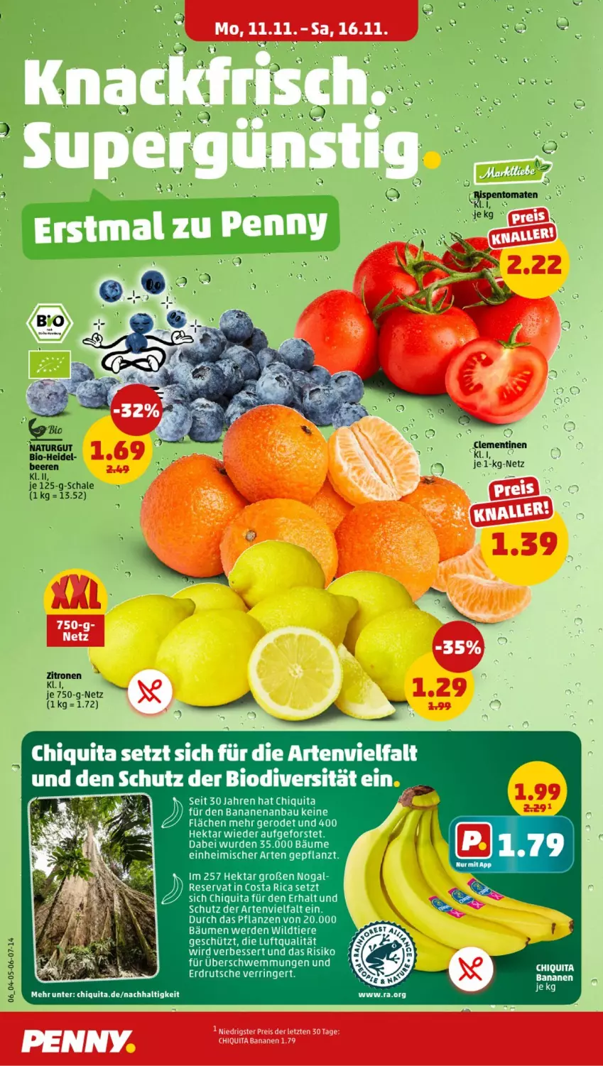 Aktueller Prospekt Penny - Prospekte - von 11.11 bis 16.11.2024 - strona 6 - produkty: beere, beeren, bio, chiquita, eis, erde, natur, pflanze, pflanzen, Schal, Schale, tee, Ti, Tiere, tomate, tomaten, Wild