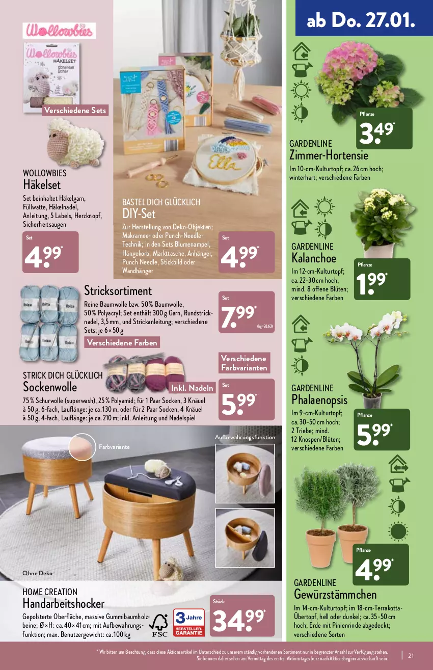 Aktueller Prospekt Aldi Nord - Aldi-Vorschau - von 24.01 bis 29.01.2022 - strona 21 - produkty: Anhänger, Bau, baumwolle, blume, blumen, Blumenampel, Blüte, Brei, erde, gewürz, gin, hocker, Holz, hortensie, Kalanchoe, korb, kulturtopf, LG, pflanze, phalaenopsis, reine baumwolle, Ria, rind, socken, Tasche, Ti, topf, übertopf, Wandhänger, wolle, ZTE