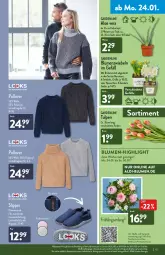 Gazetka promocyjna Aldi Nord - Aldi-Vorschau - Gazetka - ważna od 29.01 do 29.01.2022 - strona 15 - produkty: aldi, aloe vera, blume, blumen, Blüte, Brei, eis, elle, erde, gin, hero, kulturtopf, LG, Narzissen, pflanze, pflanzen, Pullover, reis, Ria, rind, rindenmulch, slip, Slipper, Ti, topf, uhr, wolle, ZTE, zwiebel, zwiebeln