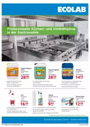 Gazetka promocyjna Selgros - Gastronomie - Gazetka - ważna od 30.09 do 30.09.2022 - strona 56 - produkty: bier, bio, biozidprodukte, Clin, Desinfektion, eis, elle, fisch, fische, flasche, Gläser, grill, Grillreiniger, klarspüler, krone, küche, Küchen, pilze, pril, Rauch, reiniger, reis, rezept, Ria, rwe, Spezi, sprühflasche, Spülen, spülmittel, tee, Ti, WICK