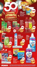 Gazetka promocyjna Penny - Prospekte - Gazetka - ważna od 13.05 do 13.05.2023 - strona 14 - produkty: beutel, Cap, Desinfektion, domestos, duschdas, eis, flasche, jubelpreis, Käse, ketchup, kirsch, LG, Raumduft, reis, sagrotan, tee, Ti, tomate, tomaten, tomaten ketchup, wc-gel, ZTE