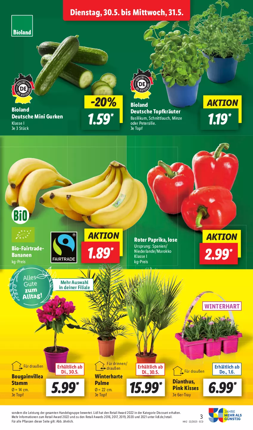 Aktueller Prospekt Lidl - Aktionsprospekt - von 30.05 bis 03.06.2023 - strona 3 - produkty: banane, bananen, bio, eis, reis, Ti, topf