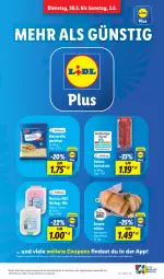 Gazetka promocyjna Lidl - Aktionsprospekt - Gazetka - ważna od 03.06 do 03.06.2023 - strona 13 - produkty: angebot, auer, Bau, Bauer, brot, coupon, coupons, dulano, hering, Herings, rel, ring, salami, Ti