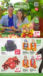 Gazetka promocyjna Wasgau - Gazetka - ważna od 10.02 do 10.02.2024 - strona 10 - produkty: angebot, apfel, beere, beeren, beutel, Blutorange, eis, elle, grana, Granatäpfel, grapefruit, heidelbeere, heidelbeeren, mandarine, mandarinen, orange, orangen, Rana, reis, Rubin, saft, Schal, Schale, tafeläpfel, Ti, tisch