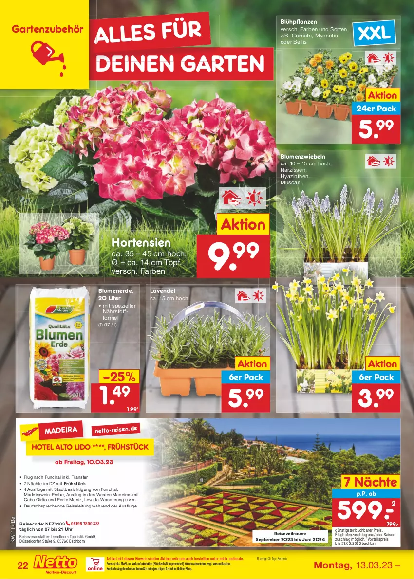 Aktueller Prospekt Netto Marken-Discount - Filial-Angebote - von 13.03 bis 18.03.2023 - strona 22 - produkty: bestpreis, blume, blumen, blumenerde, buch, eis, elle, erde, Garten, hortensie, hortensien, HP, lavendel, Narzissen, ndk, pflanze, pflanzen, reis, reiseveranstalter, Spezi, Ti, topf, trendtours touristik gmbh, uhr, vorteilspreis, wein, Weste, Yo, zwiebel, zwiebeln