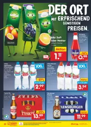 Gazetka promocyjna Netto Marken-Discount - Filial-Angebote - Gazetka - ważna od 18.03 do 18.03.2023 - strona 20 - produkty: Alwa, bestpreis, burger, eis, flensburger, frucht, gin, limo, limonade, limonaden, mac, mineralwasser, mit frucht, natürliches mineralwasser, ndk, Nektar, orangina, pils, pilsener, reis, saft, Ti, vitrex, wasser