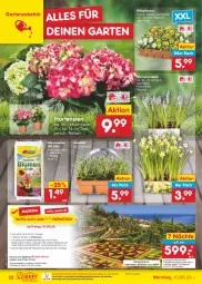 Gazetka promocyjna Netto Marken-Discount - Filial-Angebote - Gazetka - ważna od 18.03 do 18.03.2023 - strona 22 - produkty: bestpreis, blume, blumen, blumenerde, buch, eis, elle, erde, Garten, hortensie, hortensien, HP, lavendel, Narzissen, ndk, pflanze, pflanzen, reis, reiseveranstalter, Spezi, Ti, topf, trendtours touristik gmbh, uhr, vorteilspreis, wein, Weste, Yo, zwiebel, zwiebeln