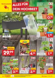 Gazetka promocyjna Netto Marken-Discount - Filial-Angebote - Gazetka - ważna od 18.03 do 18.03.2023 - strona 24 - produkty: abdeckhaube, aubergine, beere, beeren, brombeere, brombeeren, dünger, eis, Garten, gin, heidelbeere, heidelbeeren, himbeer, himbeere, himbeeren, kopfsalat, kräuter, natur, ndk, obst, paprika, peperoni, Peroni, pflanze, pflanzen, Pflanzkasten, reis, Ria, rwe, salat, snack, teppich, Ti, tomate, topf