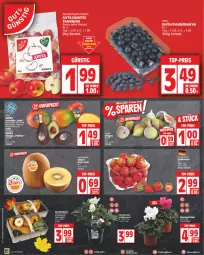 Gazetka promocyjna Edeka - Angebote der Woche - Gazetka - ważna od 14.10 do 14.10.2023 - strona 2 - produkty: beere, beeren, beutel, deka, discount, eis, Elan, heidelbeere, heidelbeeren, kiwi, Kiwi Gold, kiwifruit, korb, Kürbis, LG, mango, nuss, pflanze, reis, Schal, Schale, tafeläpfel, tee, Ti, top-preis, ZTE