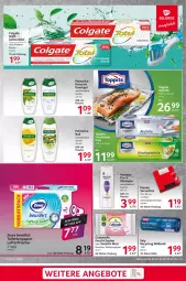 Gazetka promocyjna Selgros - Food - Gazetka - ważna od 29.01 do 29.01.2025 - strona 21 - produkty: angebot, angebote, Bad, Clin, colgate, cottonelle, duschgel, elle, feuchtes toilettenpapier, flasche, frischhaltefolie, LG, lufterfrischer, natur, natura, olive, palmolive, pantene, papier, pely, pro-v, rwe, sac, salz, sana, Serviette, servietten, shampoo, tee, tefal, Ti, toilettenpapier, toppits, tücher, zewa