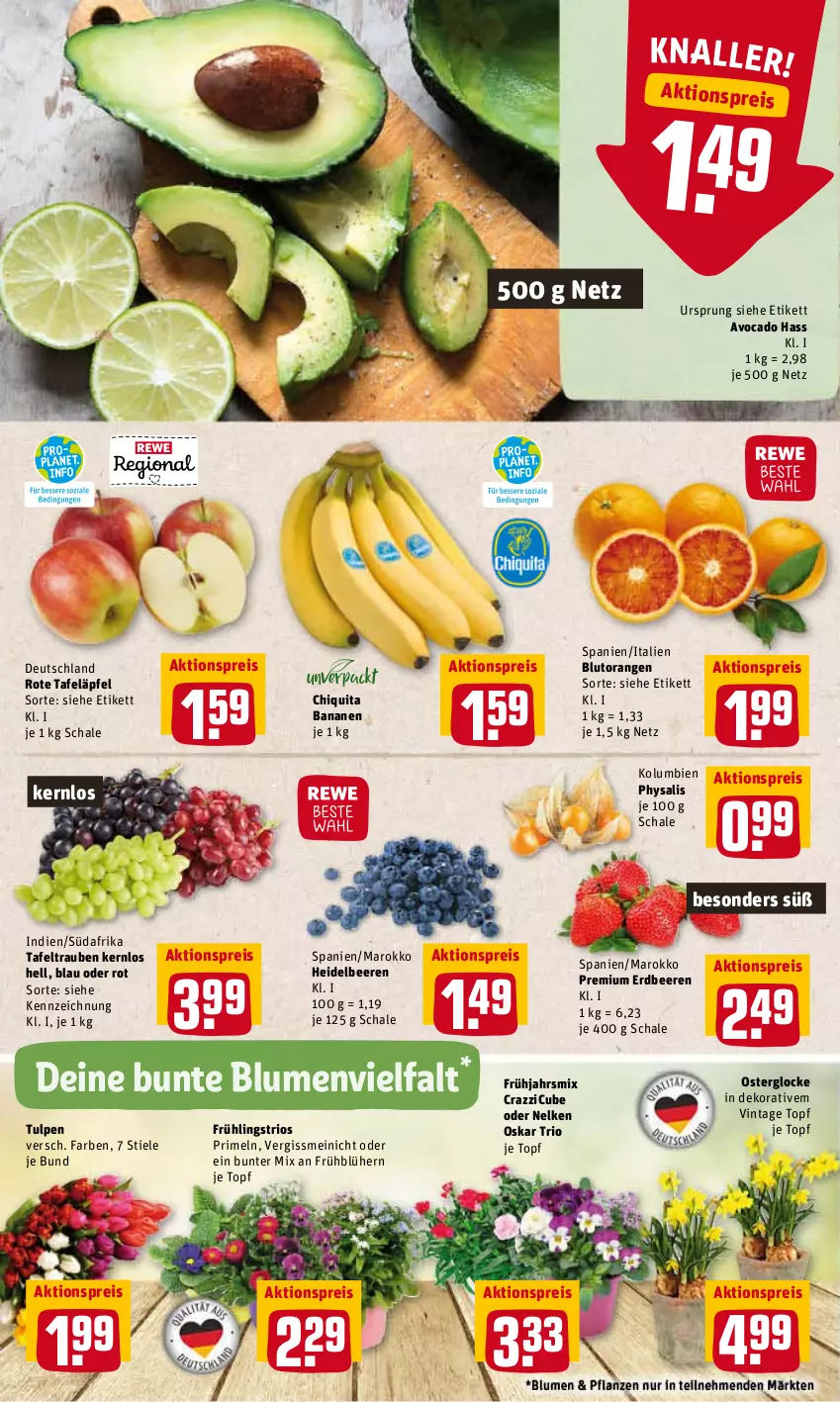 Aktueller Prospekt Rewe - REWE Ihr Kaufpark - von 14.03 bis 19.03.2022 - strona 2 - produkty: aktionspreis, avocado, banane, bananen, beere, beeren, blume, blumen, Blutorange, chiquita, eis, erdbeere, erdbeeren, heidelbeere, heidelbeeren, orange, orangen, pflanze, pflanzen, Physalis, Primeln, reis, rote tafeläpfel, Schal, Schale, tafeläpfel, tafeltrauben, Ti, topf, trauben