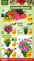 Gazetka promocyjna Penny - Prospekte - Gazetka - ważna od 03.09 do 03.09.2022 - strona 22 - produkty: auer, Bau, Bauer, Lampe, rosen, tuc