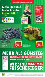 Gazetka promocyjna Lidl - Aktionsprospekt - Gazetka - ważna od 07.10 do 07.10.2023 - strona 2 - produkty: Abtei, angebot, beere, beeren, discount, eis, frucht, heidelbeere, heidelbeeren, LG, magazin, obst, Obst und Gemüse, pril, reis, salat, Ti, und gemüse