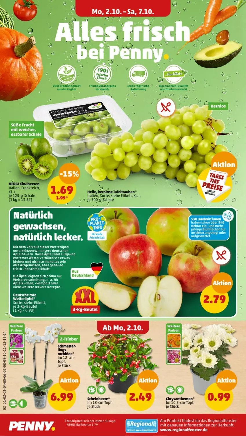 Aktueller Prospekt Penny - Prospekte - von 02.10 bis 07.10.2023 - strona 2 - produkty: apfel, Apfelkuchen, auer, Bau, Bauer, beere, beeren, chrysanthemen, eier, elle, kiwi, kuchen, leine, mac, Mett, orchidee, Schal, Schale, sekt, tafeltrauben, Ti, topf, trauben